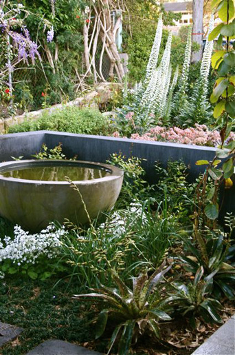 Balgowlah Heights Water Garden